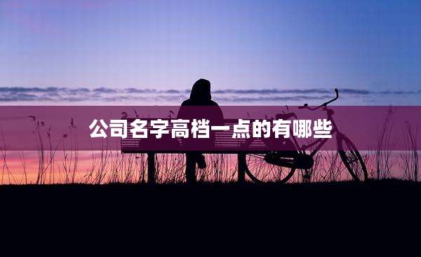 公司名字高档一点的有哪些