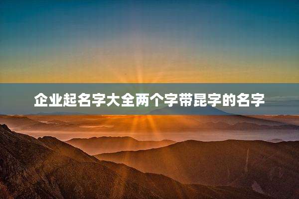 企业起名字大全两个字带昆字的名字