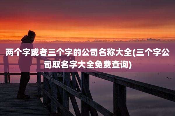 两个字或者三个字的公司名称大全(三个字公司取名字大全免费查询)