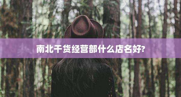 南北干货经营部什么店名好?