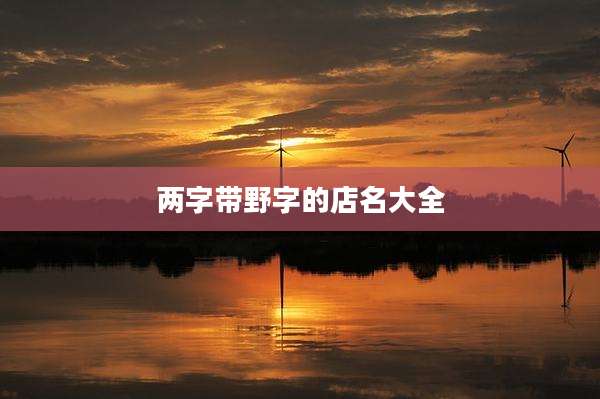 两字带野字的店名大全