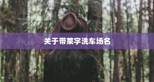 关于带莱字洗车场名