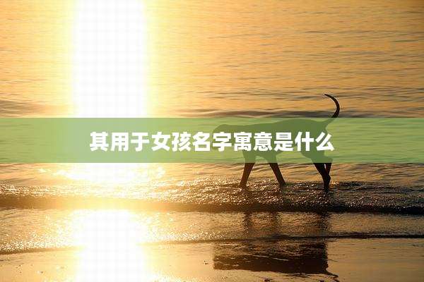 其用于女孩名字寓意是什么