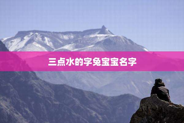 三点水的字兔宝宝名字