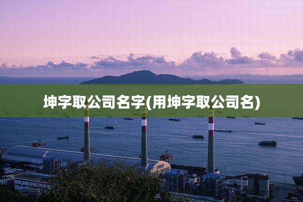 坤字取公司名字(用坤字取公司名)