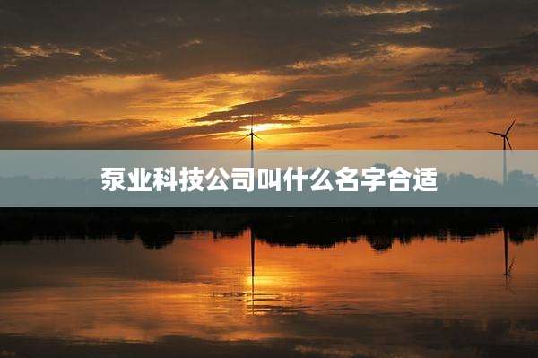 泵业科技公司叫什么名字合适