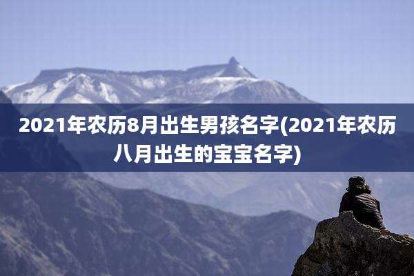 2021年农历8月出生男孩名字(2021年农历八月出生的宝宝名字)