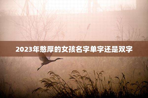 2023年憨厚的女孩名字单字还是双字