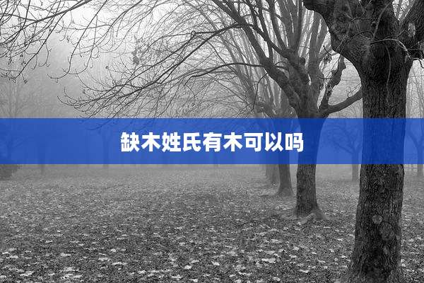 缺木姓氏有木可以吗