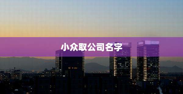 小众取公司名字