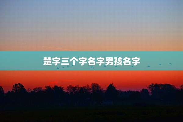 楚字三个字名字男孩名字