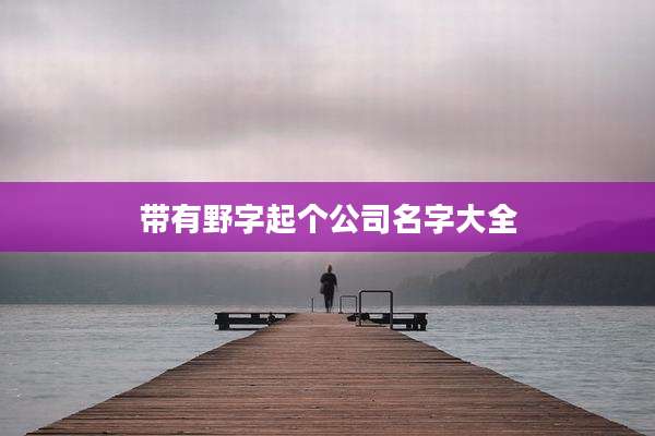 带有野字起个公司名字大全