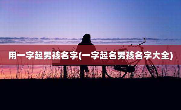 用一字起男孩名字(一字起名男孩名字大全)