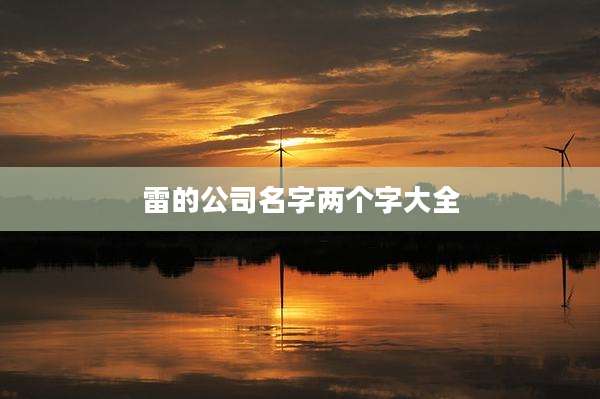 雷的公司名字两个字大全