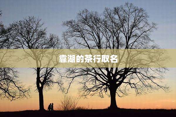 靠湖的茶行取名