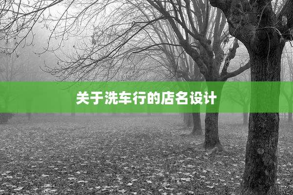 关于洗车行的店名设计