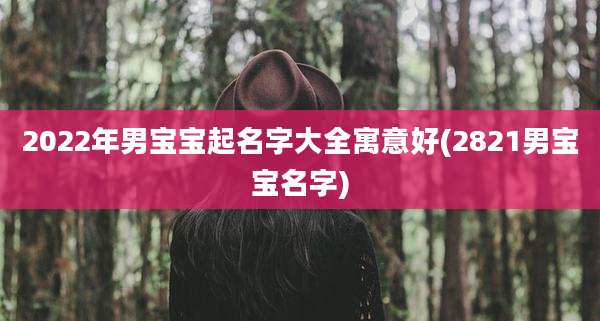 2022年男宝宝起名字大全寓意好(2821男宝宝名字)