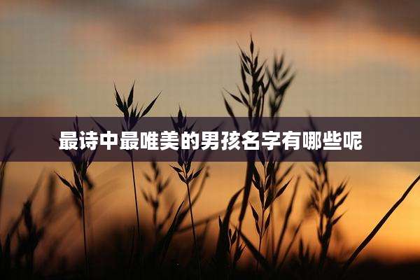 最诗中最唯美的男孩名字有哪些呢