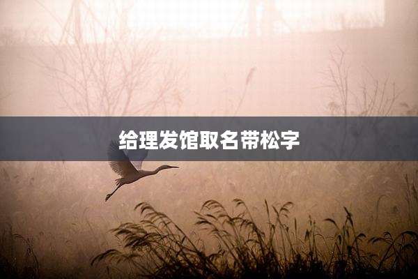 给理发馆取名带松字