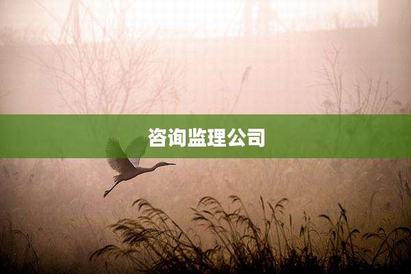 咨询监理公司