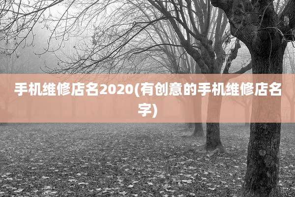 手机维修店名2020(有创意的手机维修店名字)