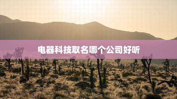 电器科技取名哪个公司好听