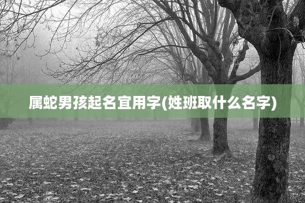 属蛇男孩起名宜用字(姓班取什么名字)
