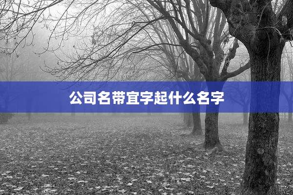 公司名带宜字起什么名字