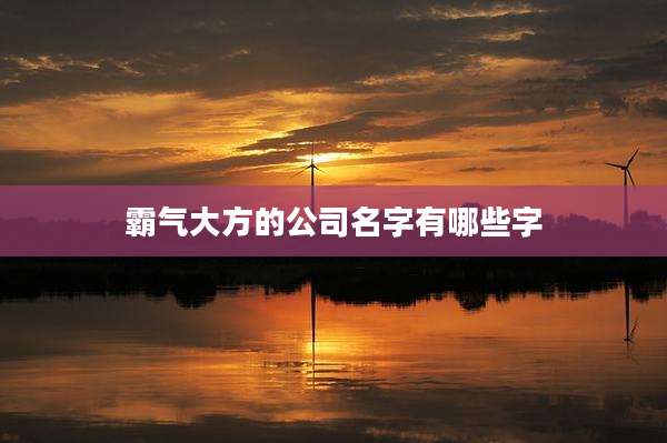 霸气大方的公司名字有哪些字