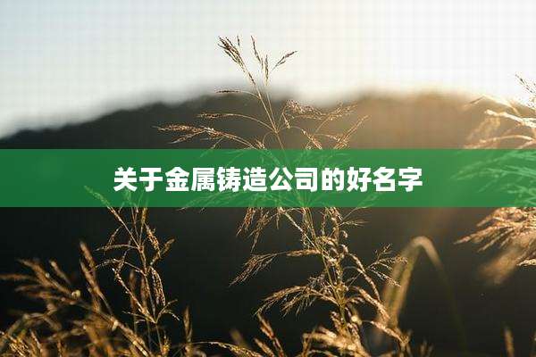 关于金属铸造公司的好名字