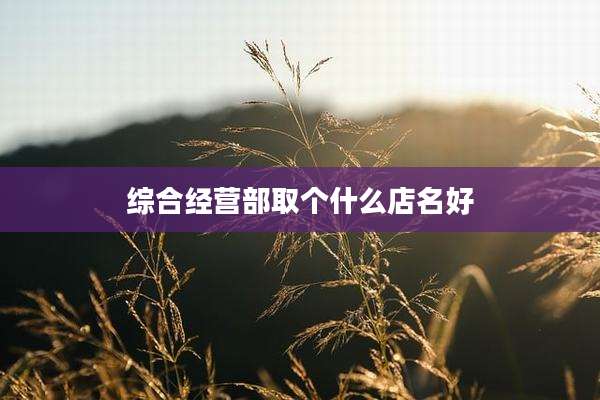综合经营部取个什么店名好