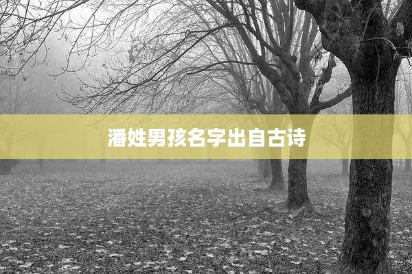 潘姓男孩名字出自古诗
