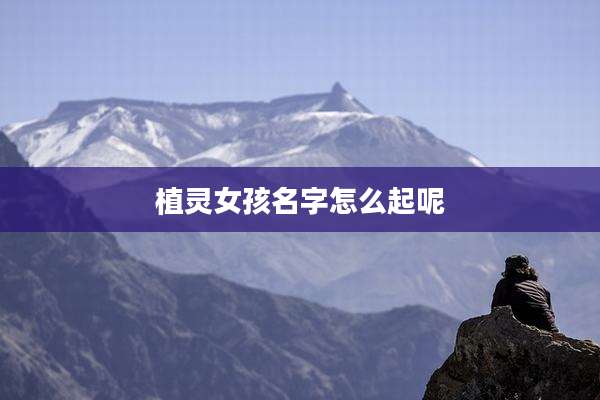 植灵女孩名字怎么起呢