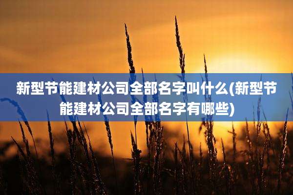 新型节能建材公司全部名字叫什么(新型节能建材公司全部名字有哪些)