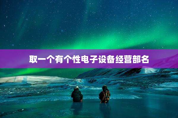 取一个有个性电子设备经营部名