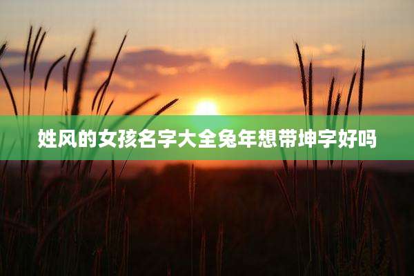 姓风的女孩名字大全兔年想带坤字好吗