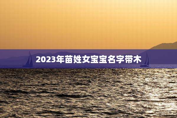 2023年苗姓女宝宝名字带木