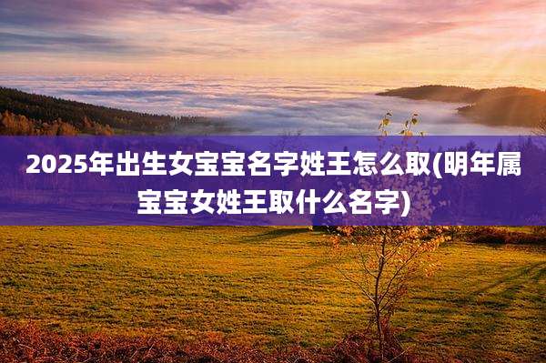 2025年出生女宝宝名字姓王怎么取(明年属宝宝女姓王取什么名字)
