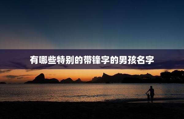 有哪些特别的带锋字的男孩名字