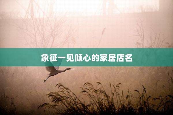 象征一见倾心的家居店名