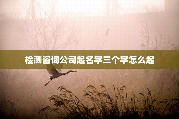 检测咨询公司起名字三个字怎么起