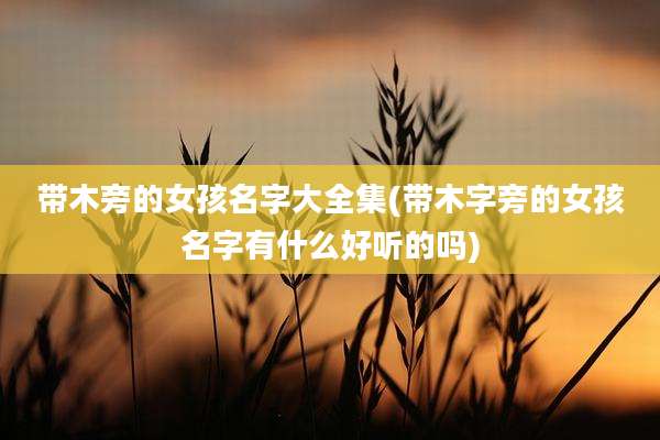 带木旁的女孩名字大全集(带木字旁的女孩名字有什么好听的吗)