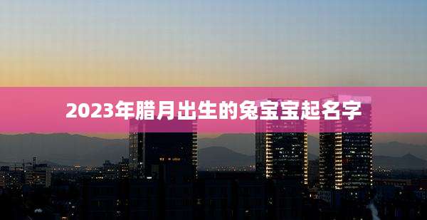 2023年腊月出生的兔宝宝起名字