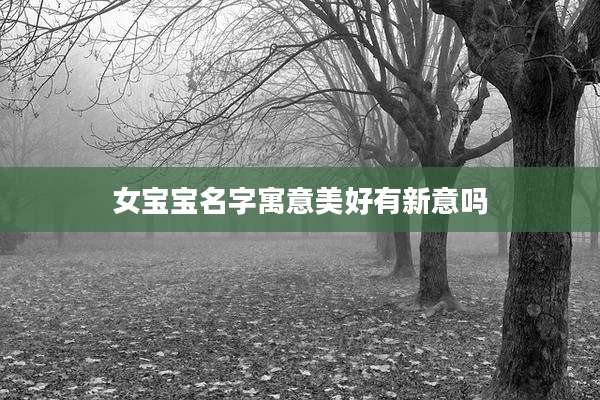 女宝宝名字寓意美好有新意吗
