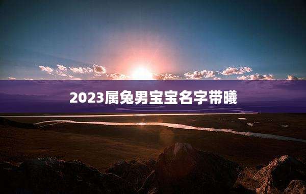 2023属兔男宝宝名字带曦