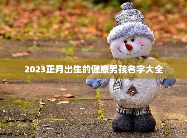 2023正月出生的健康男孩名字大全