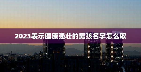 2023表示健康强壮的男孩名字怎么取