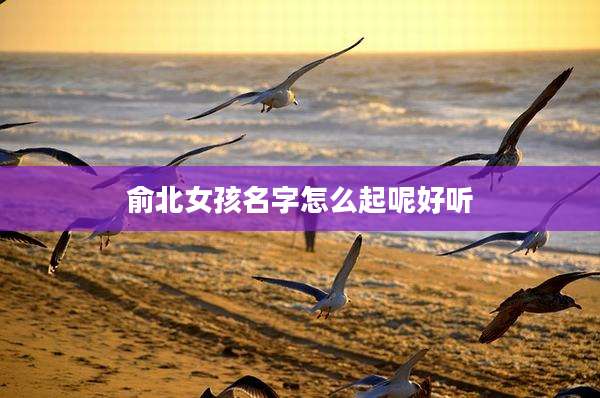 俞北女孩名字怎么起呢好听