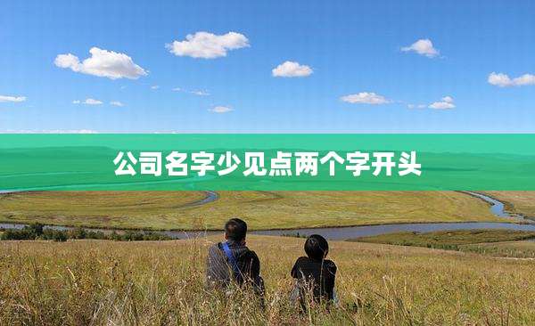 公司名字少见点两个字开头