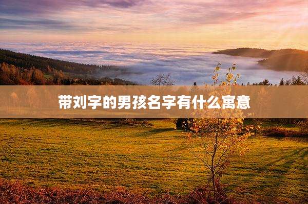 带刘字的男孩名字有什么寓意
